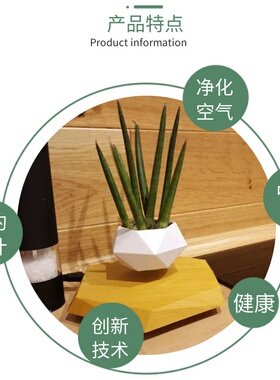 高品质磁悬浮花盆质量更好