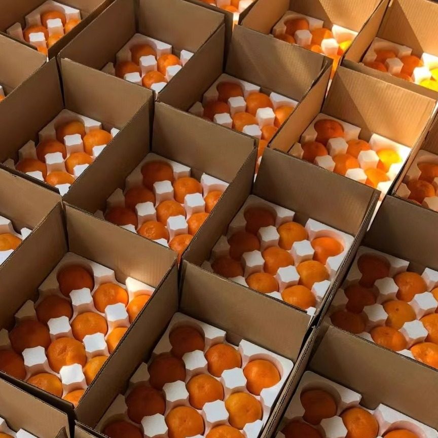 自产自销浙江台州临海正宗高山涌泉早熟蜜橘产地直发当季水果现摘,淘宝优惠券,粉丝福利购,淘宝优惠卷