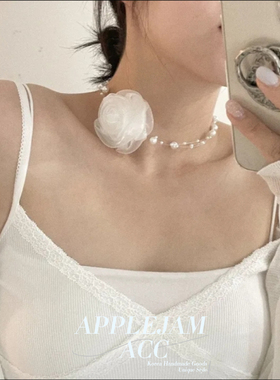 韩国进口赵美延同款项链 敲仙~珍珠立体网纱玫瑰花朵 choker