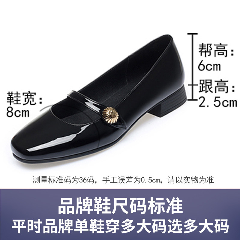 法式小皮鞋女夏季2025新款玛丽珍女鞋真皮低跟方头时尚软底单鞋女,淘宝优惠券,粉丝福利购,淘宝优惠卷