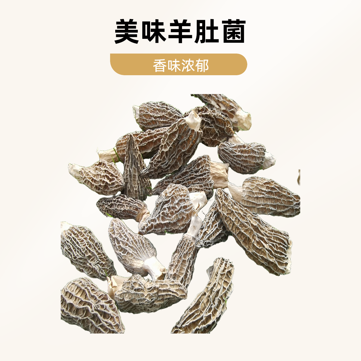 四川头茬羊肚菌出口级干货野生种植菌散装贵州云南香格里拉西藏,淘宝优惠券,粉丝福利购,淘宝优惠卷