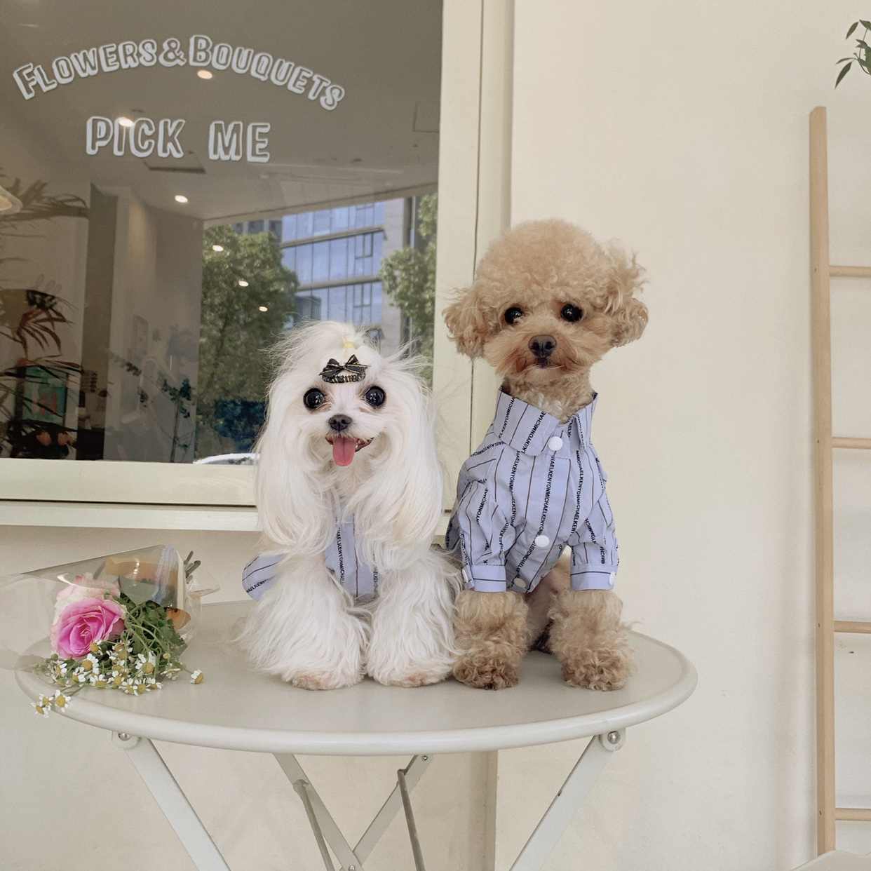 ch衣服2022年5月-月销口碑最新推荐-天猫淘宝海外 ch衣服2022年5月-月销口碑最新推荐-天猫淘宝海外