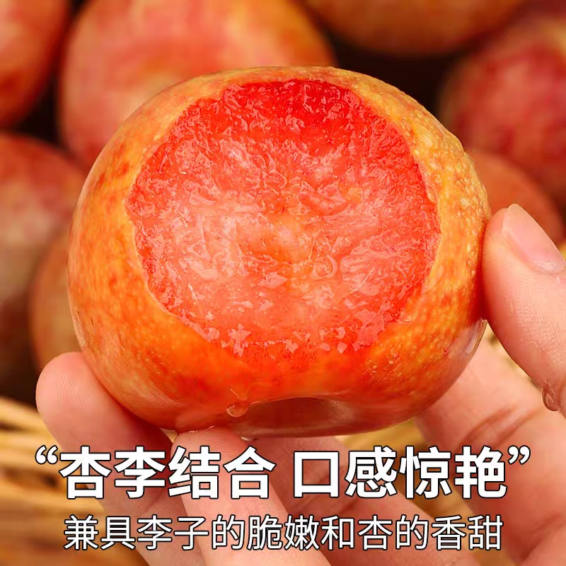 特产进口恐龙蛋大李子新鲜水果当季孕妇甜脆宝石李珠宝凤凰李新鲜,淘宝优惠券,粉丝福利购,淘宝优惠卷