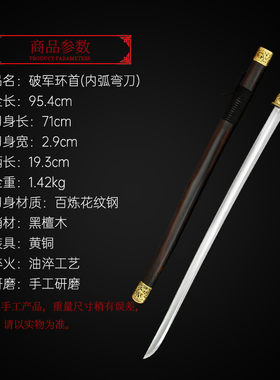 龙泉宝剑花纹钢破军环首汉刀