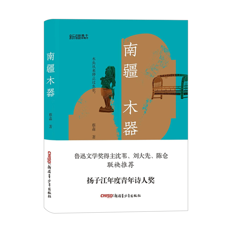 【新疆青少年出版社】南疆木器 蔡淼著 新疆是个好地方系列图书 扬子江年度青年诗人奖作品