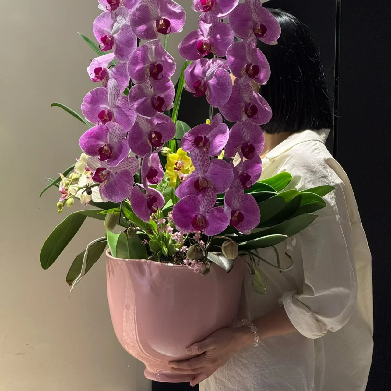 特大号蝴蝶兰大惠兰花盆轻奢设计创意个性蝴蝶兰百搭花器桌面有孔,淘宝优惠券,粉丝福利购,淘宝优惠卷