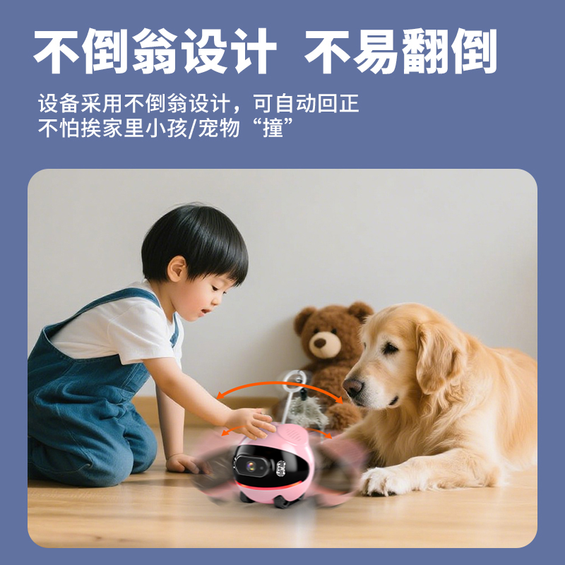 Home pet camera for mobile whole house monitoring