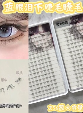 达人推荐假睫毛蓝眼泪下睫毛浪漫睫毛书初学者单簇仿真自然毛流感