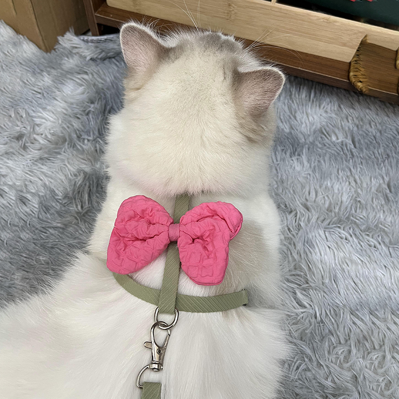 猫咪宠物牵引绳防止脱外出神器布偶缅因德文专用遛猫绳子小型犬绳 - 图2