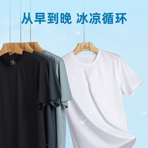 浪登男士短袖T恤夏季新款含桑蚕丝凉感休闲时尚透气圆领上衣男装