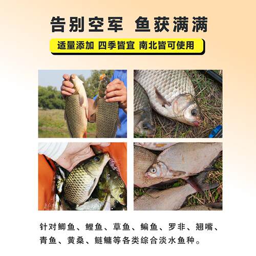 冬季千里香钓鱼小药野钓黑坑专用红虫果酸鲫鱼鲤鱼小药浓缩诱鱼剂 - 图1