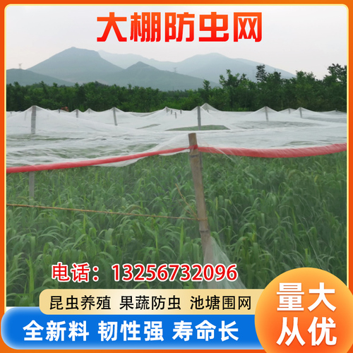 农用蔬菜大棚防虫网定制大棚专用纱网果树防虫鸟防雹防蚊蝇网罩