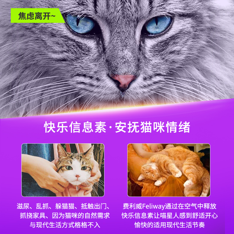 费利威FELIWAY经典防止乱尿禁区电扩散器套装安抚情绪费洛蒙猫用 - 图2