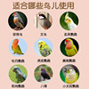 Pearl Bird Nest for All Seasons Common Bird Breeding Nest
