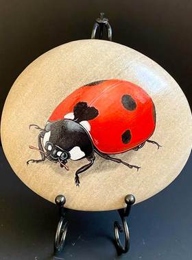 石头画成品瓢虫生日礼物桌面