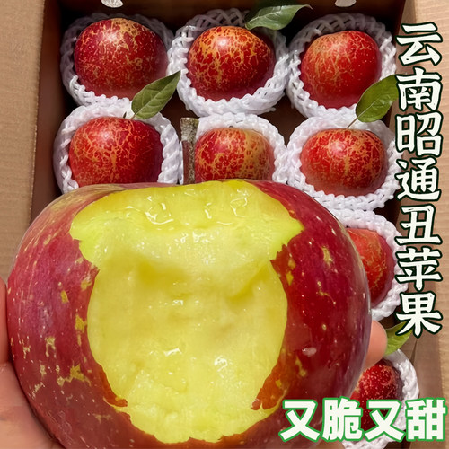 2025正宗云南昭通糖心丑苹果新鲜水果现摘当季整箱富士非大凉山 - 图0