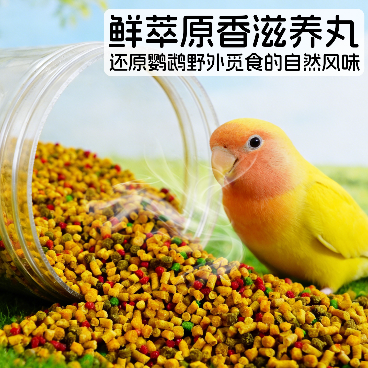 图2