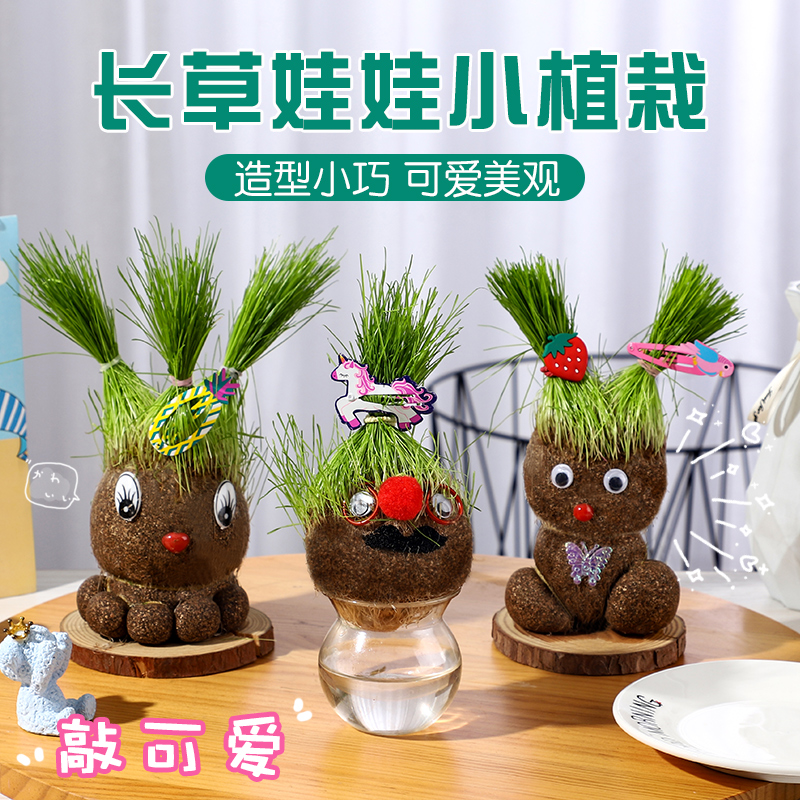 儿童植物小盆栽草头娃娃幼儿园创意观察生长绿植趣味搞笑头上长草 - 图0