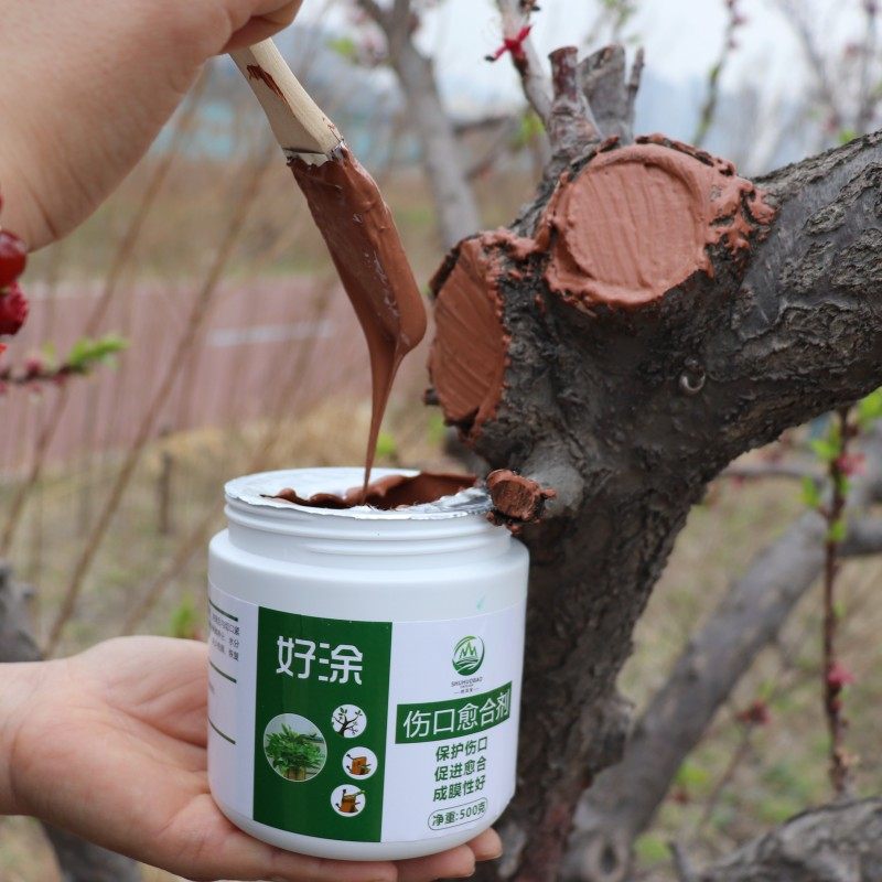 树木伤口愈合剂树干涂补剂盆景树皮涂膜剂果树嫁接切口修复涂抹膏,淘宝优惠券,粉丝福利购,淘宝优惠卷
