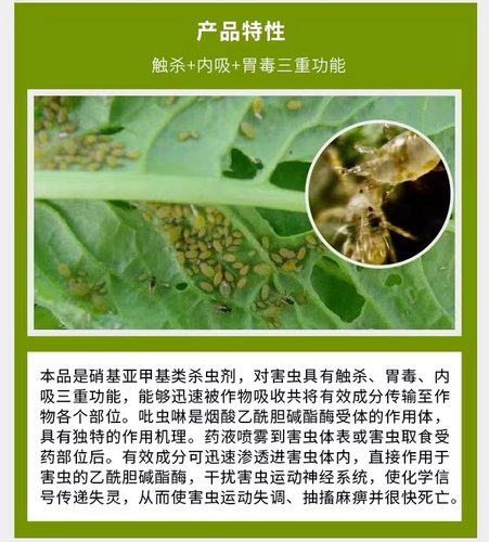 70%吡虫啉吡虫林比虫林啉蚍虫啉颗粒蚜虫农用农药专用杀虫剂大全-图0