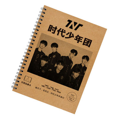 Tnt时代少年团字帖歌词本周边同款马嘉祺刘耀文语录中学生练字帖 虎窝淘