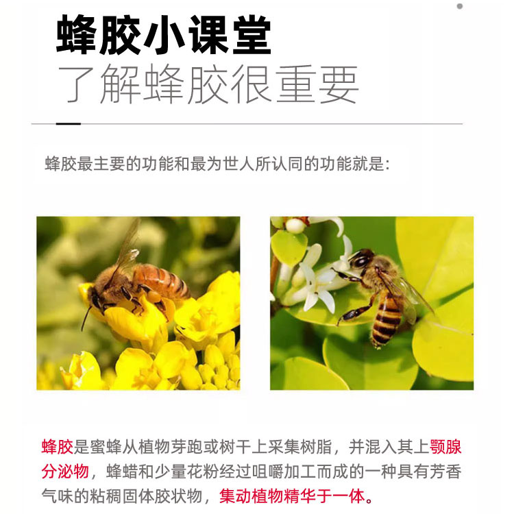 慈蜂堂 蜂胶胶囊240粒纯正天然东北黑蜂源胶蜂胶囊正品厂家直发 - 图2