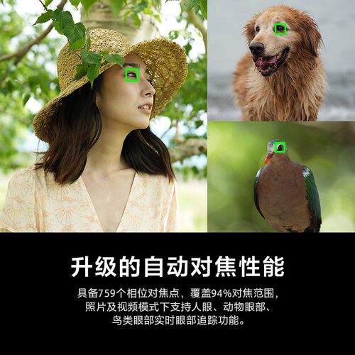 Sony/索尼 Alpha 7 IV A7M4全画幅微单相机旗舰微单a7m4 御成数码 - 图1