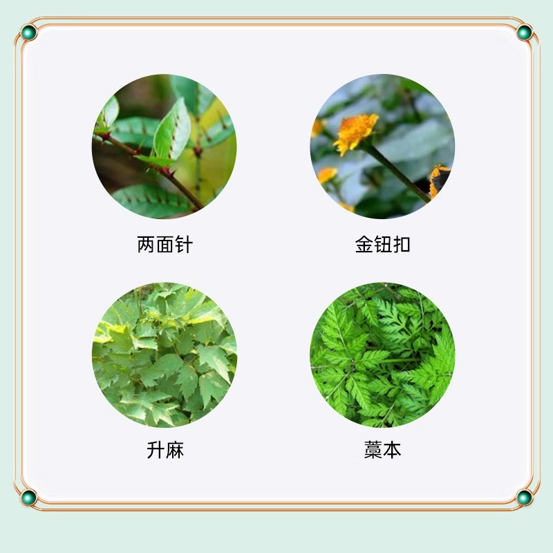 两面针御方去渍本草牙膏清洁口腔去牙黄去牙渍清新口气牙膏