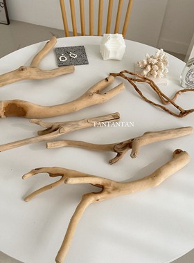 天然原木ins风拍摄搭配摆饰