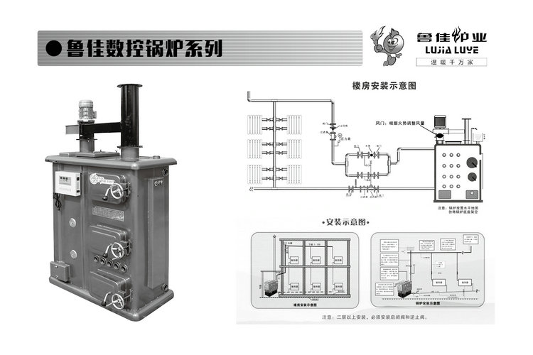 采暖大数控燃煤锅炉全自动家用水暖养殖洗浴猪舍地暖卵化加温暖气 - 图2