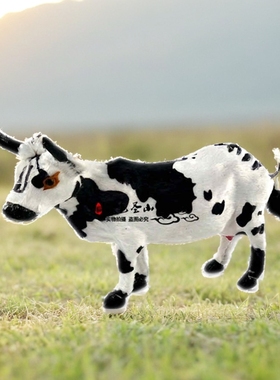黑白牛五蓄花标本模型田园装饰品