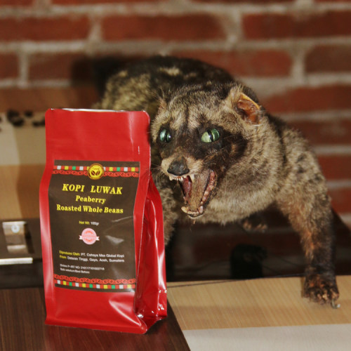 abusyik公豆猫屎咖啡豆 麝香猫印尼原装进口巴厘岛金兔礼盒装100g - 图2