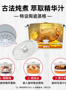 天际隔水炖盅大容量电炖锅陶瓷煲汤电砂家用全自动4人5-6一锅四胆