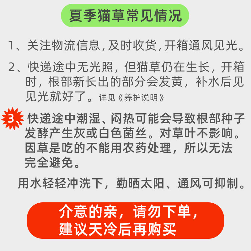 长好的猫草盆栽种好的猫咪草已种好发芽去毛球猫零食罐头猫薄荷,淘宝优惠券,粉丝福利购,淘宝优惠卷