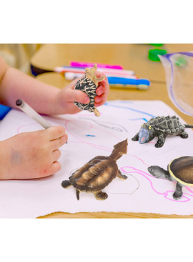 塑胶仿真桌面各种乌龟小模型