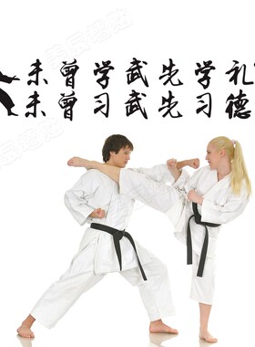 武术跆拳道精神未曾先学礼墙贴纸