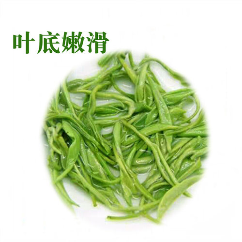 新茶叶贵州毛峰绿茶炒青茶云雾茶锌硒茶浓香型耐泡都匀毛尖250克 - 图3