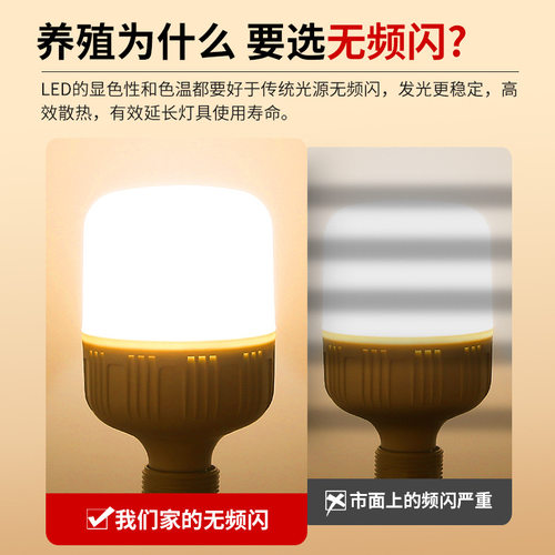 暖光led灯泡e27螺口节能灯泡蛋鸡灯鸡舍照明养殖场专用防水黄光灯 - 图0