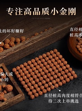 爆款树王爆肉小金刚菩提手串男双圈手链文玩佛珠核桃金刚菩提