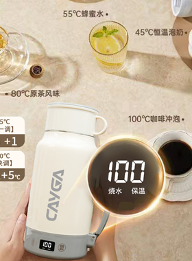 跨境110V电压烧水杯便携烧水壶旅行热水壶中国台湾美国日本加拿大