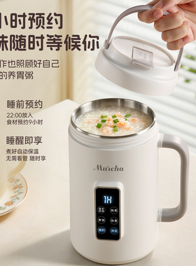 多功能电煮杯炖煮锅烧水煮饭煲汤