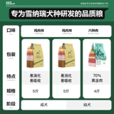 Naweik Snowrine, щенки для собак, 10 фунтов маленьких собак без замороженной в долине флагманский флагманский флагман