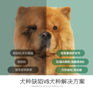 耐威克松狮成犬专用粮2.5kg5斤15个月以上中型大型犬适用天然狗粮