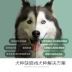 Chó Nike Husky đặc biệt 10kg20 kg trong hơn 3 tháng ở chó lớn và trung bình để làm thức ăn cho chó tự nhiên - Chó Staples