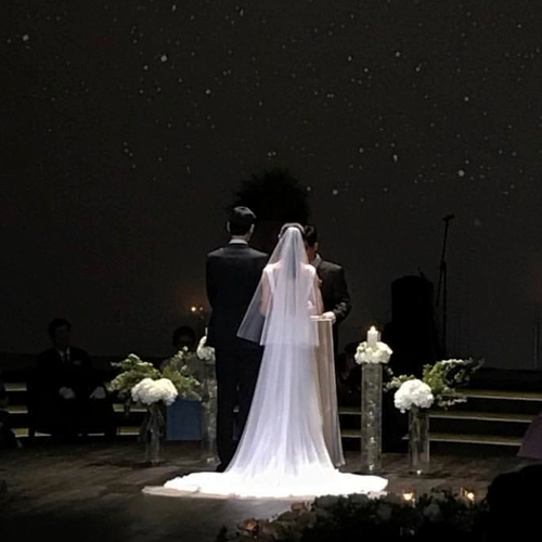 Свадебная свадебная свадебная невеста супер бессмертная вуаль просто