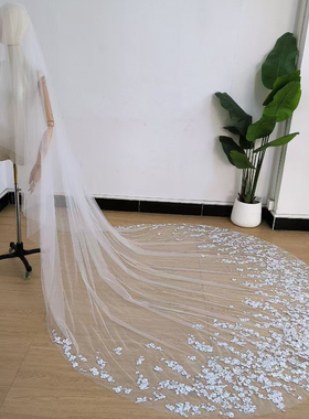 新娘结婚主婚高清重工软纱蕾丝珍珠亮片点缀拍摄道具白色花头纱