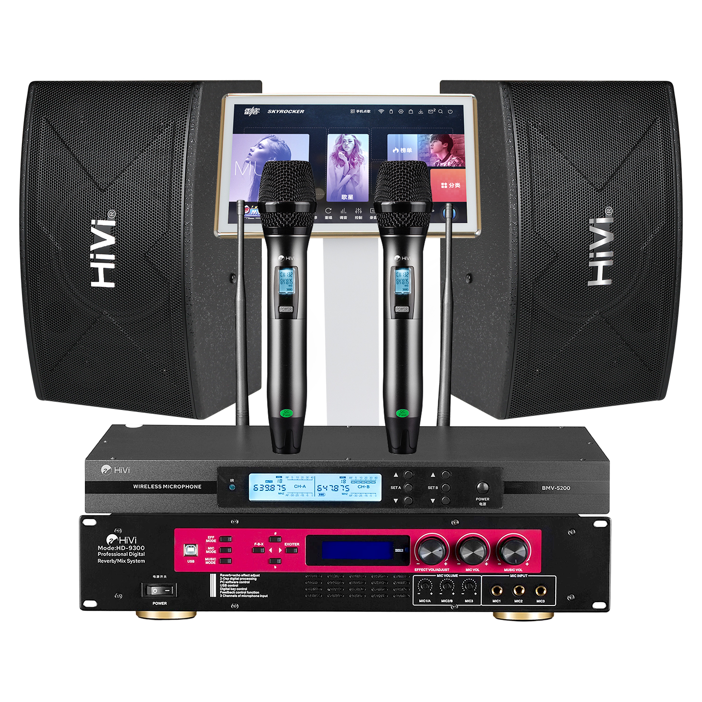 Hivi Huiwei professional ktv karaoke speakers