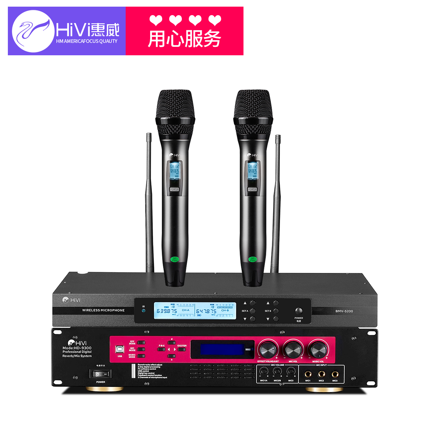 Hivi Huiwei professional ktv karaoke speakers