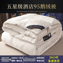 Five-star hotel quilt quilted by the core down by 95 white goose down winter by spring and cotton quilted by winter thickened warm autumn and winter