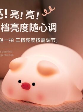 发光小猪屁哥猪夜灯定时